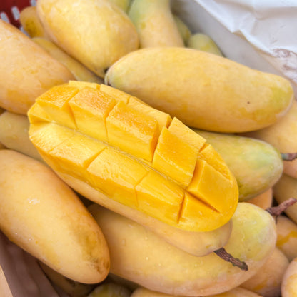 Thai Rainbow Mango (3pcs)