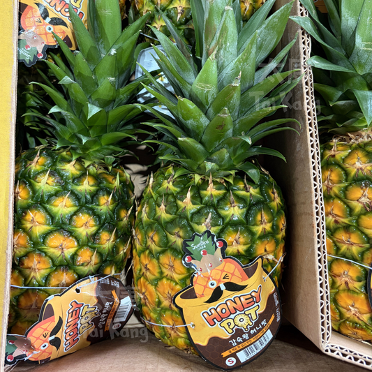 Korea Sumifru Honeypot Pineapple