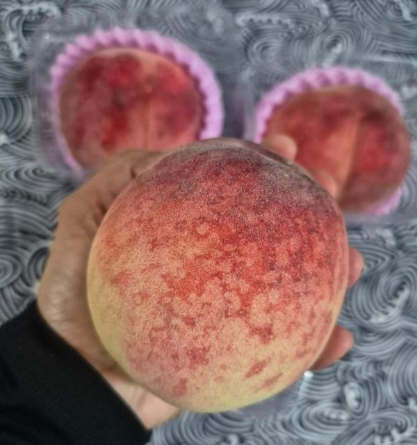 Japan Yamanashi Peach 大糖領
