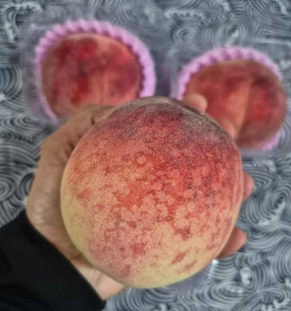 Japan Yamanashi Peach 大糖領