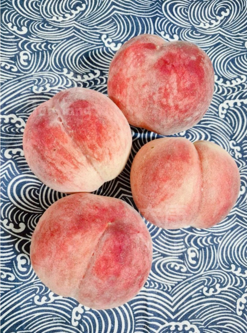 Japan Yamanashi Peach 大糖領