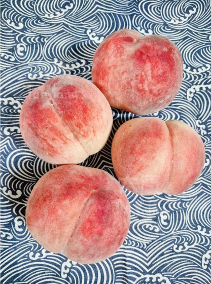 Japan Yamanashi Peach 大糖領