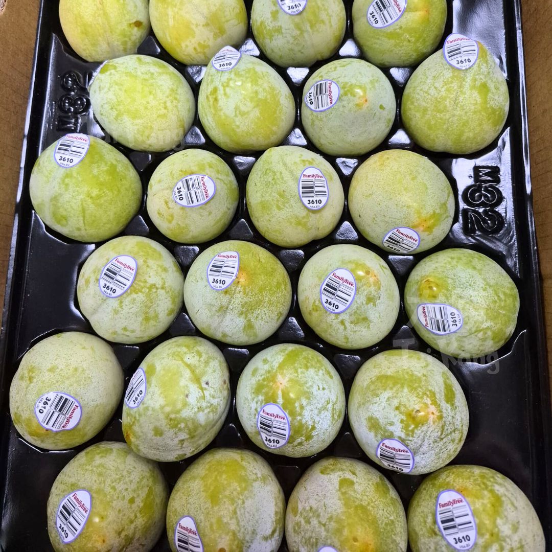USA Emerald Beaut "Dino Egg" Pluots 4pcs - Tai Kang Healthy Fruits