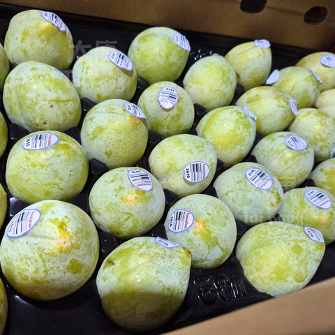 USA Emerald Beaut "Dino Egg" Pluots 4pcs