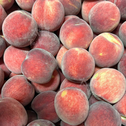 Australia White Peach 5pcs