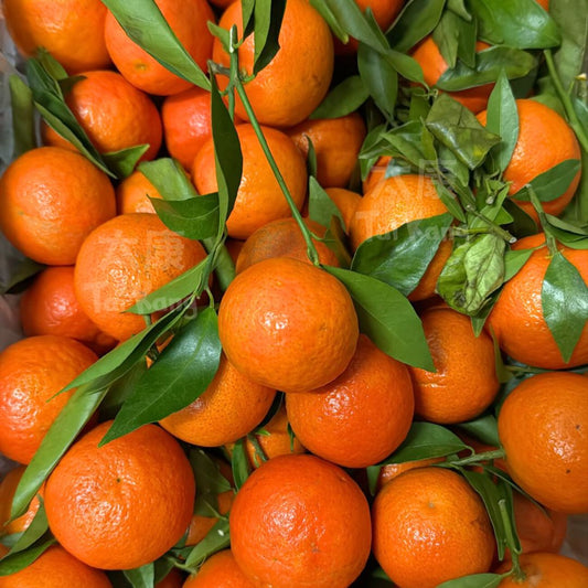 Yoiaji Mandarin 800g