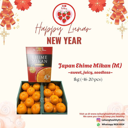 Japan Ehime Mikan Gift Box