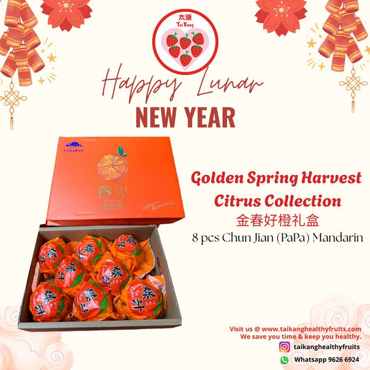 Pa Pa Gan Orange XL, Chun Jian gift box