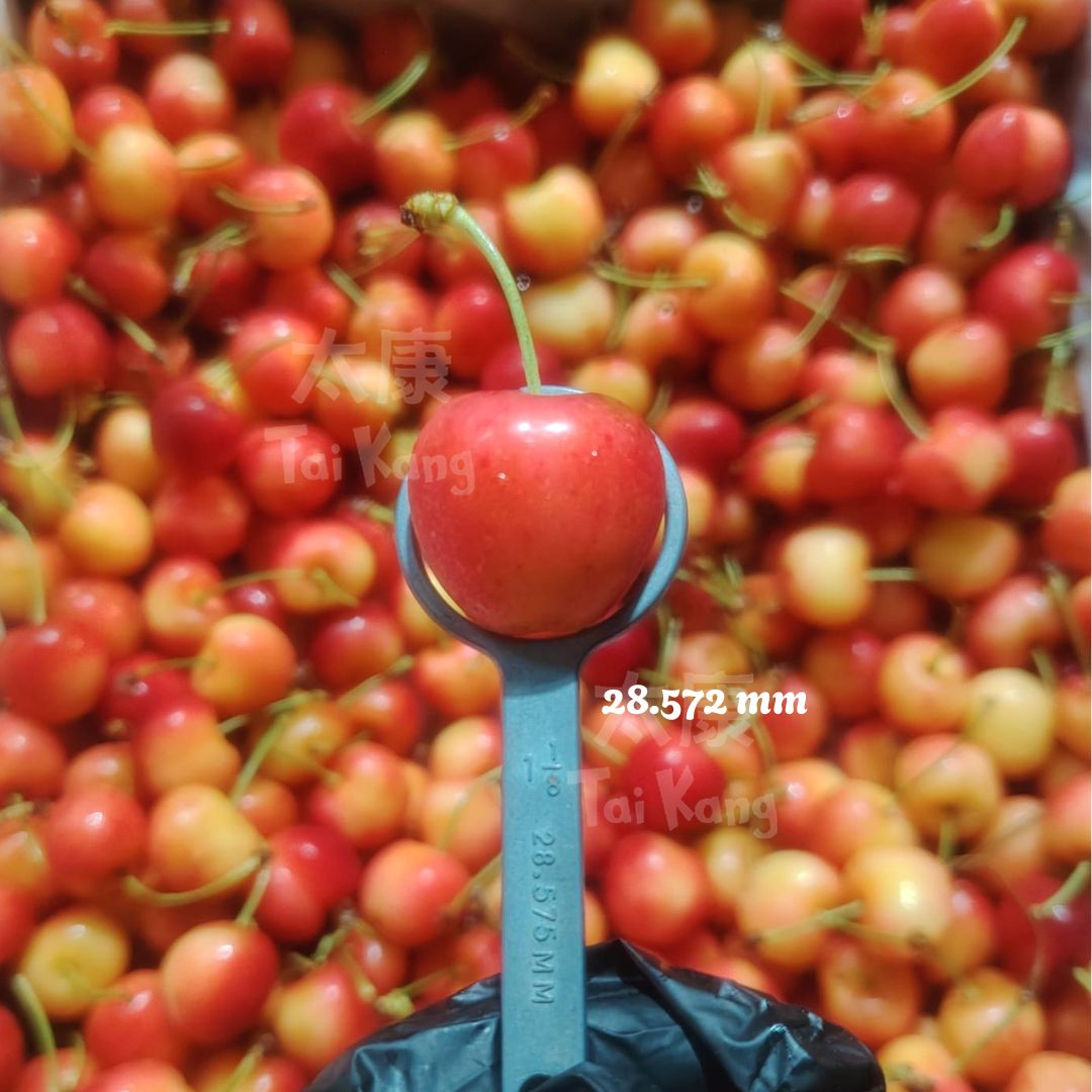 USA Premium Rainier Cherries