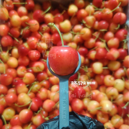 USA Premium Rainier Cherries