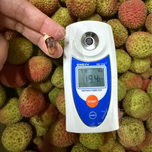 Premium Fei Zi Xiao (妃子笑) Lychee