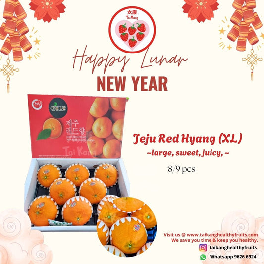Redhyang Tangerines (XL)