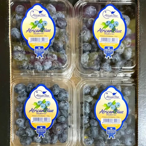 Jumbo African Blue Blueberries