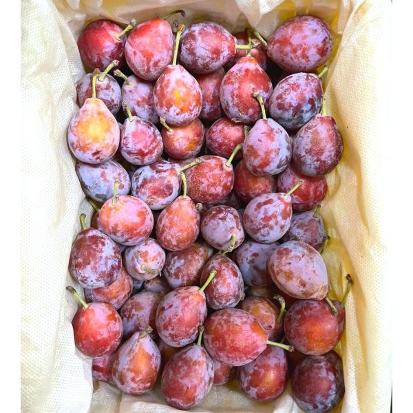 Sweet Prune (350g/pack) singapore