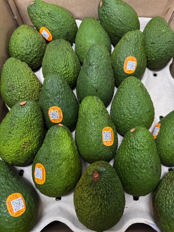 New Zealand Hass Avocado XL (3pcs) - Image 3