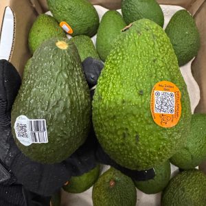 New Zealand Hass Avocado XL (3pcs)