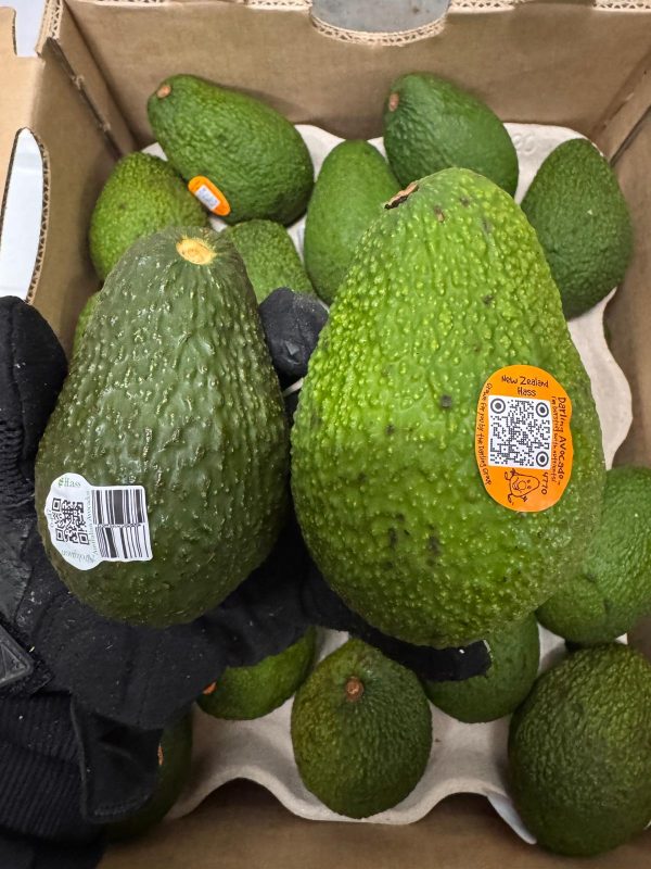 New Zealand Hass Avocado XL (3pcs)