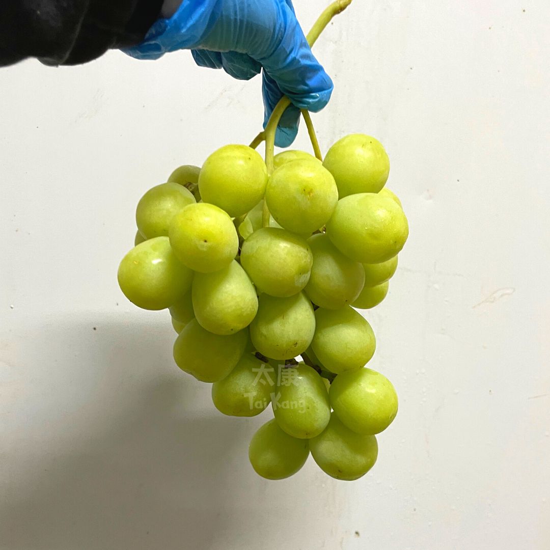 USA Ivory Crunchy Green Grapes (1kg) *NEW*