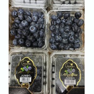 African Blue Blueberries JUMBO (2 packs) *NEW*