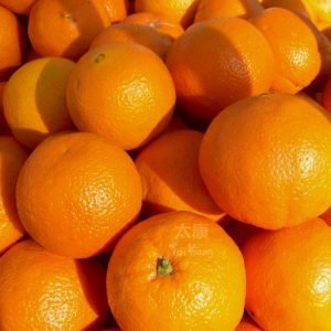 Navel Orange (6 pcs)