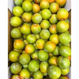 Australia Dino Egg Plum (~500g/pack)