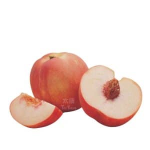 USA Snow Angel White Peach (4pcs) *sweet*
