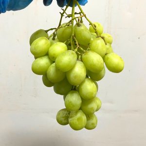 Australia Seedless Green Grapes (1kg)