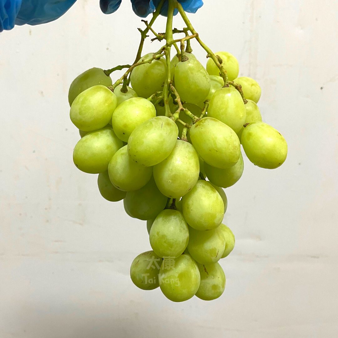 PASCLE Organic Green Super Sweet Grapes Seed Price in India - Buy