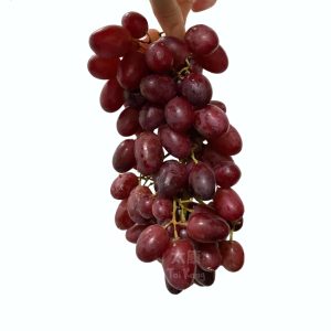 USA Sweet Ruby Seedless Grapes (1kg)