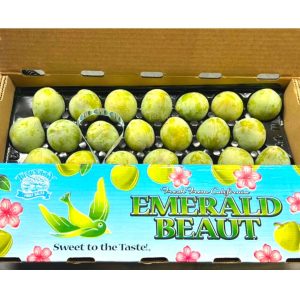 USA Dino Egg Plum (4pcs) *NEW*