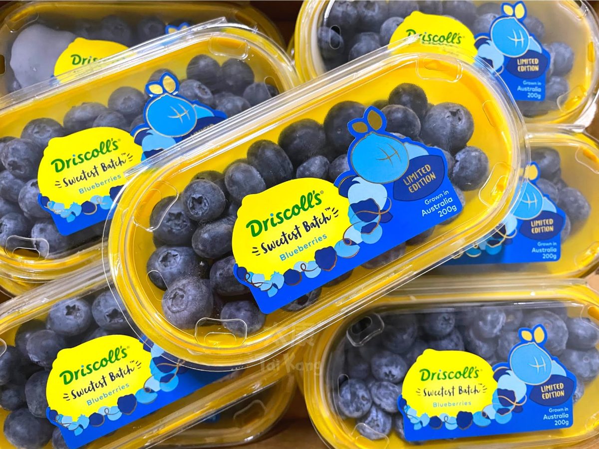 Driscoll's BLUEBERRIES JUMBO 125G DRISCOLL'S is halal suitable