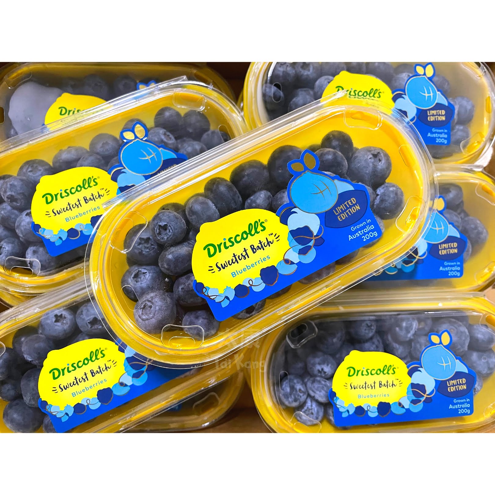 Buy Driscoll's Blueberries, Jumbo Online