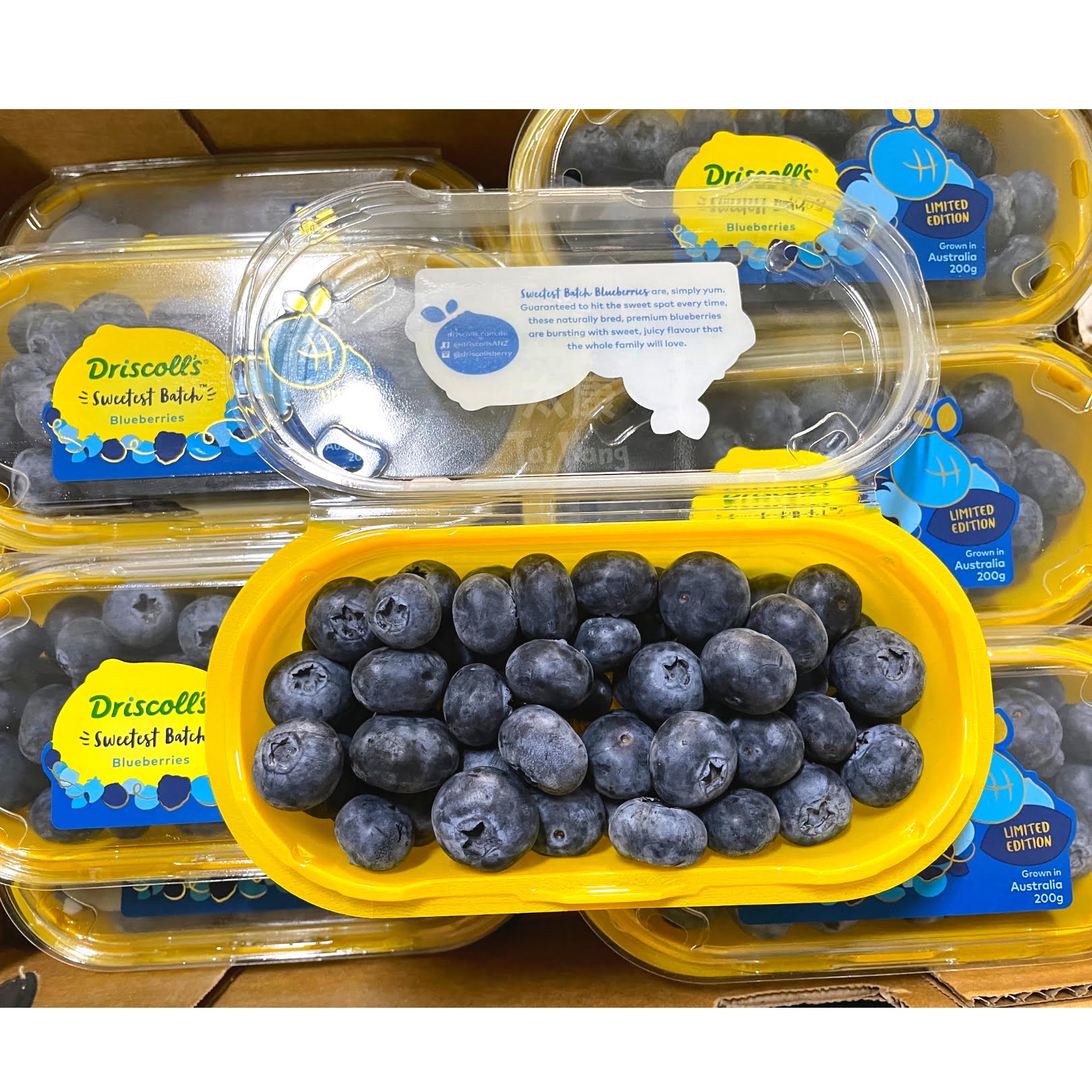 Driscoll's BLUEBERRIES JUMBO 125G DRISCOLL'S is halal suitable