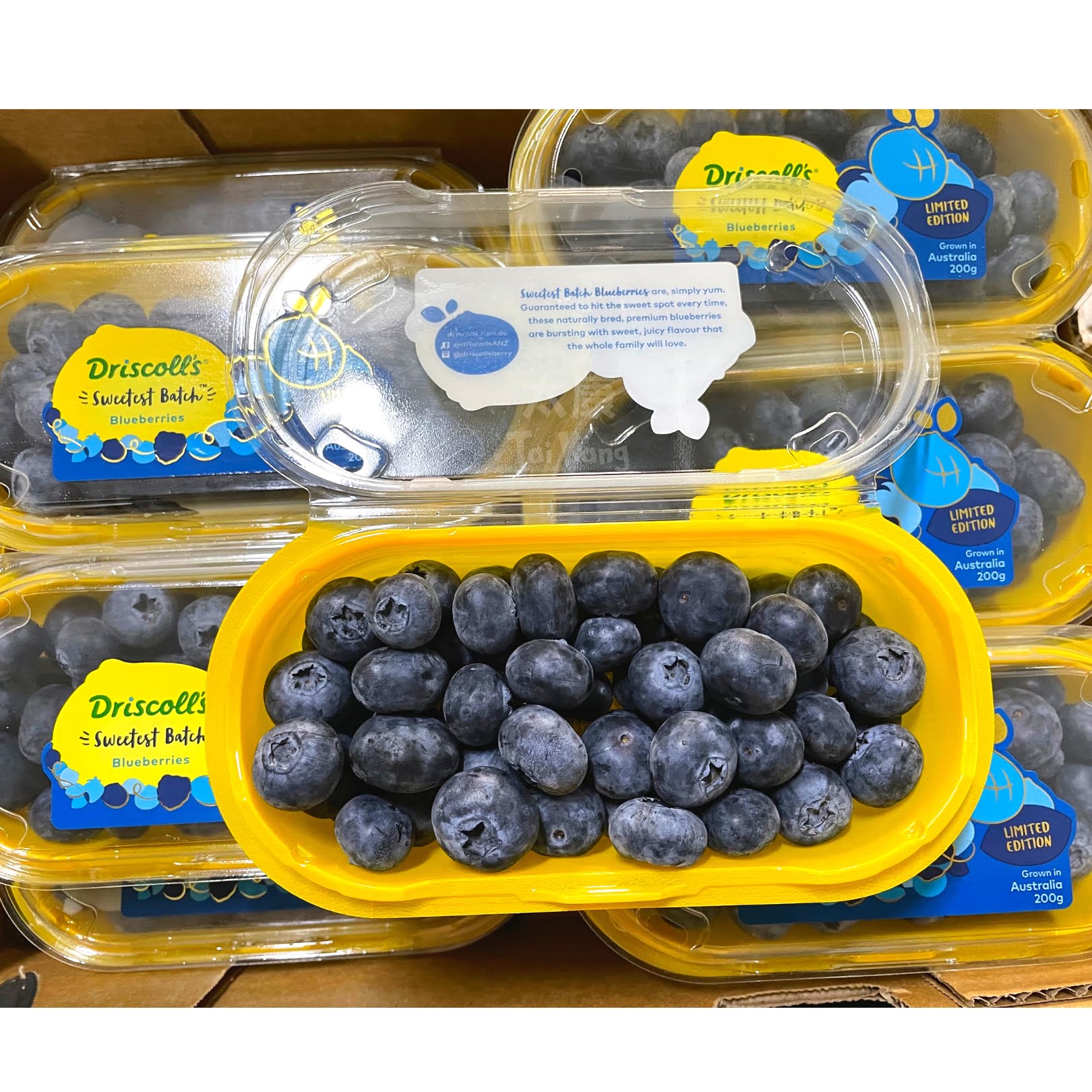 Driscoll's Driscoll's Jumbo Blueberries