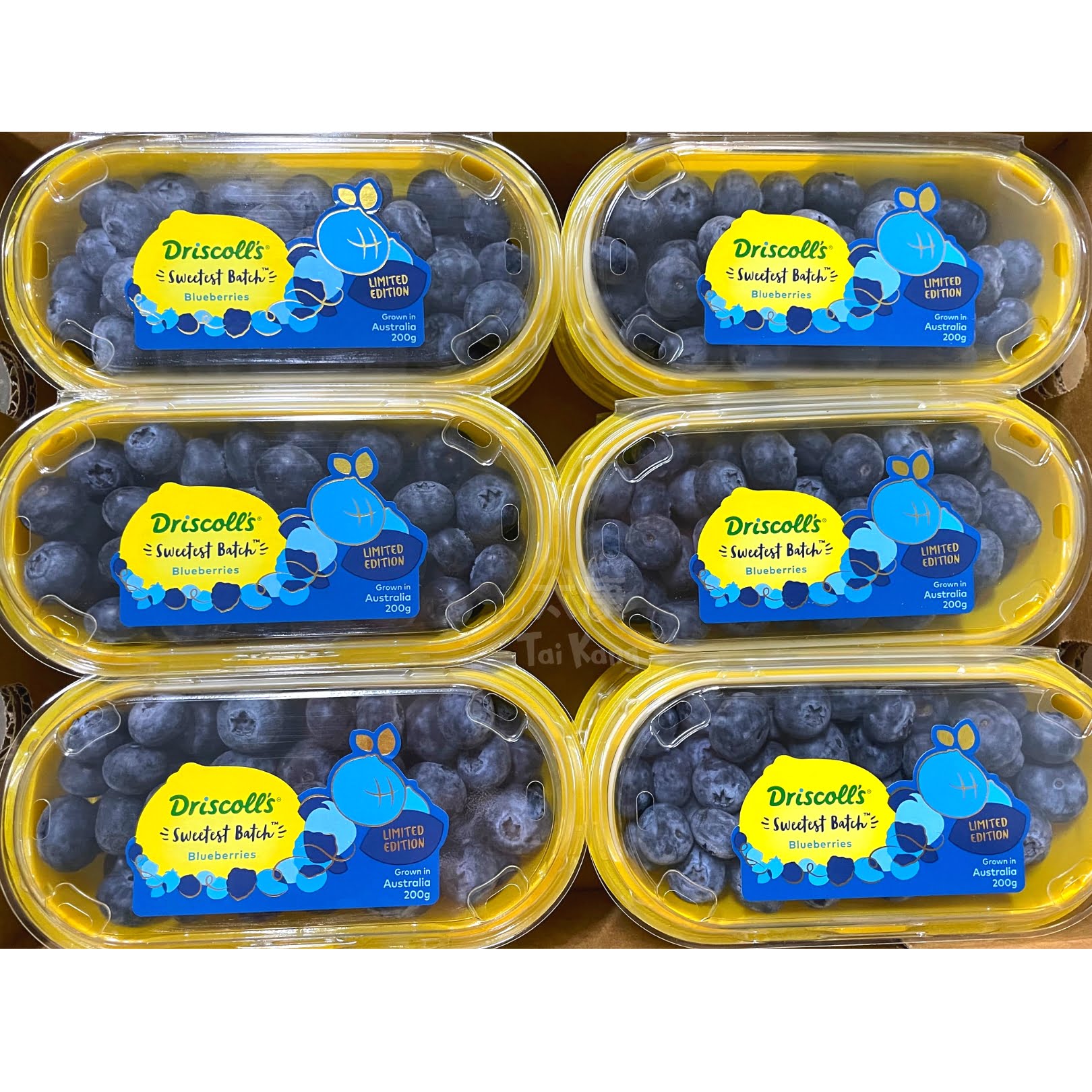 Driscoll's BLUEBERRIES JUMBO 125G DRISCOLL'S is halal suitable