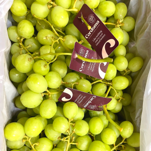 Australia Cordoma Green Grapes (1kg)
