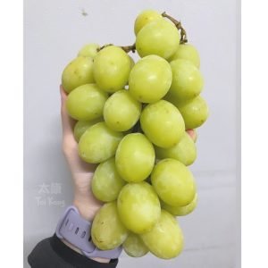 Premium Mountain Crisp Grapes XXL (1kg)