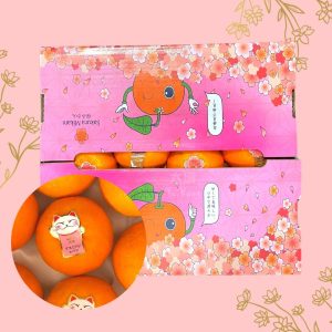 CNY Sakura Mikan Oranges Gift Box (2 layers: 18-20pcs/ box)