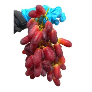 Australia Long RedRuby Seedless Grapes (1kg) *sweet*