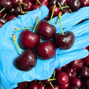 USA Red Cherries (500g)