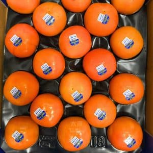 Australia Persimmon (3pcs) *NEW!*