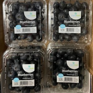 Cape Jewel Blueberries *Jumbo* (3packs)