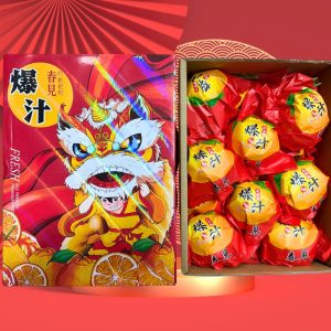 CNY Chun Jian Papagan XL (4kg carton)