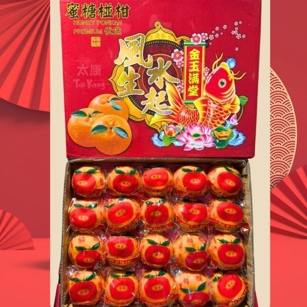 CNY Honey Ponkan XL (40pcs/ box)