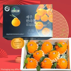 Premium Korea Jeju Hallabong Orange