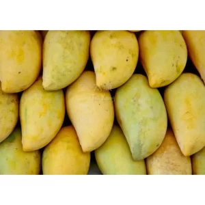 Thai Honey Mango (4pcs)