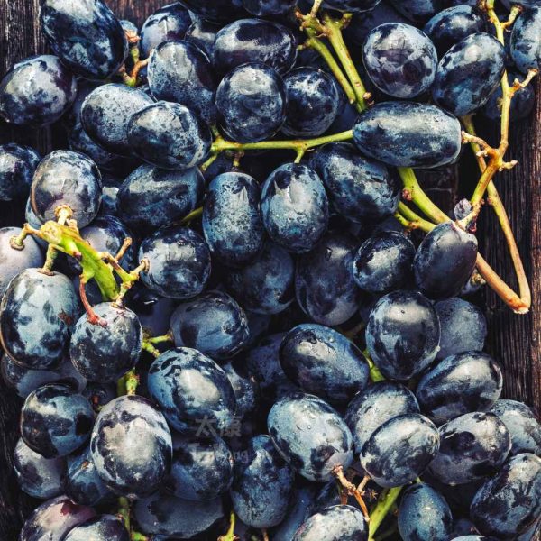 Australia Adora Black Grapes (1kg) - Image 4