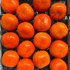 Australia Persimmon *JUMBO* (3pcs)