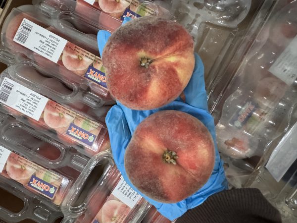 Jumbo Donut Peach (500g/ box) *NEW!* - Image 2
