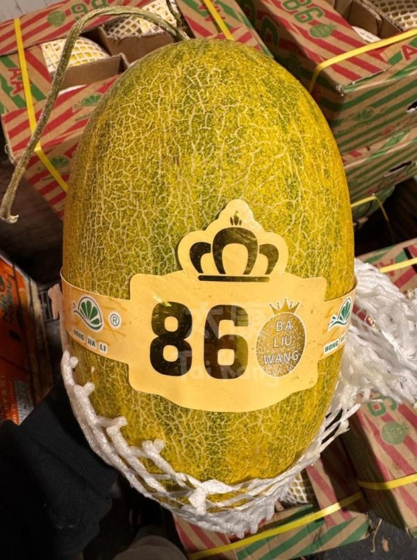Ba Liu Wang (86王) *King of Melon!*